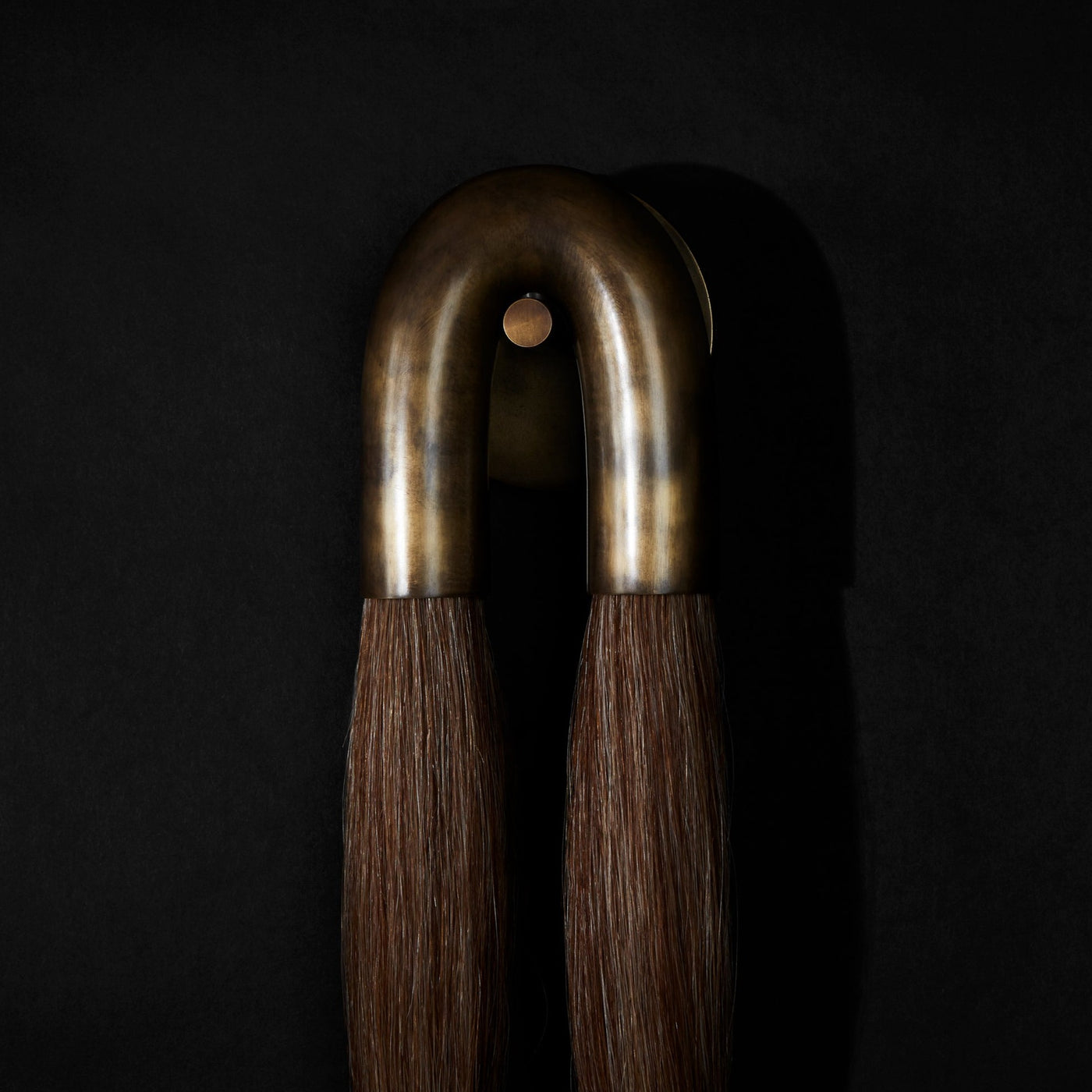 Apparatus Horsehair Wall Sconce Details 
