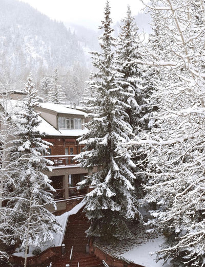 #LeMillRecommends: Top Holiday Spots This Winter