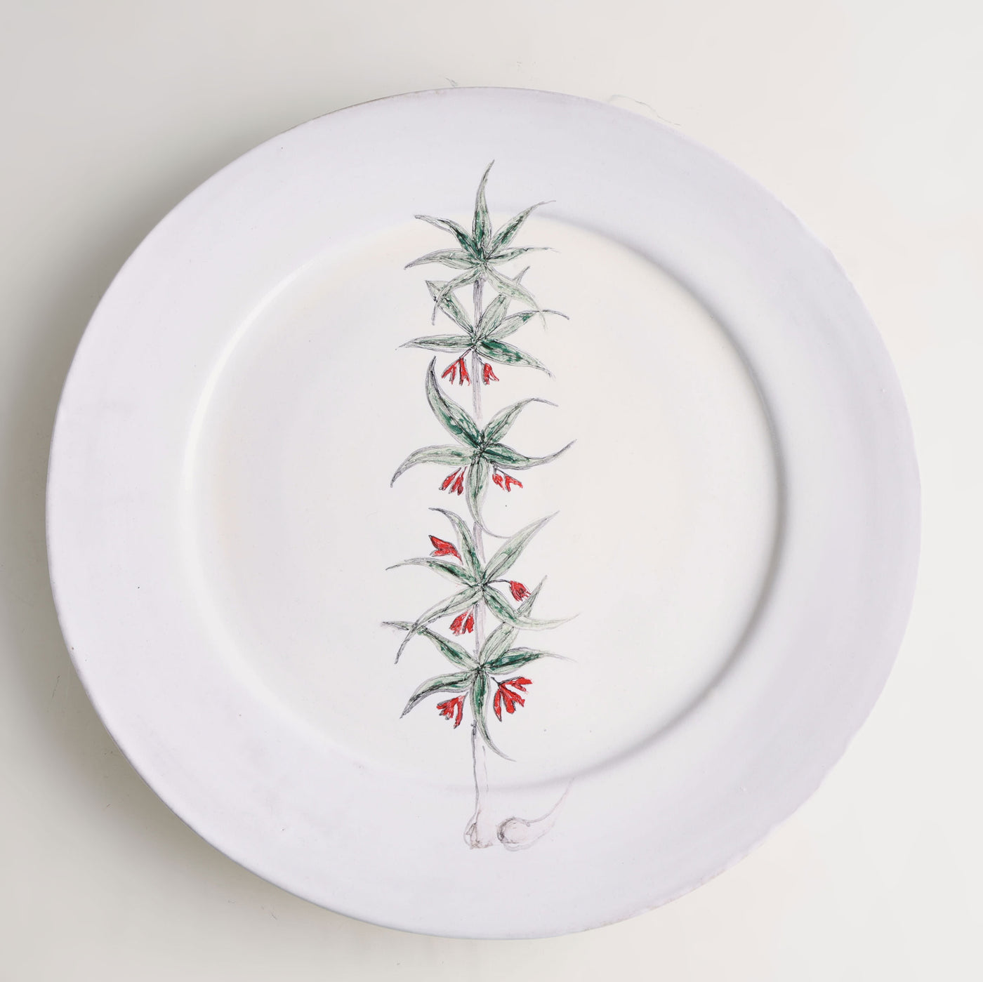 Hand-painted Botanical plates inspired by Oriental & Occidental Materia Medica from the 10th - 16th centuries