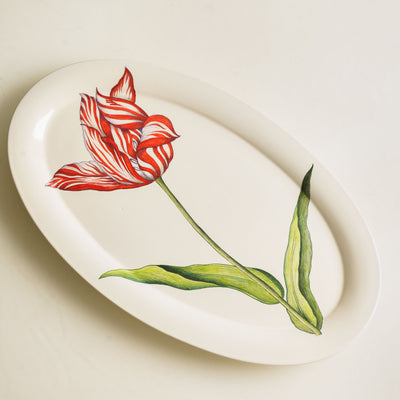 KHANOOM oval print small tulip tulip print with charming white backdrop