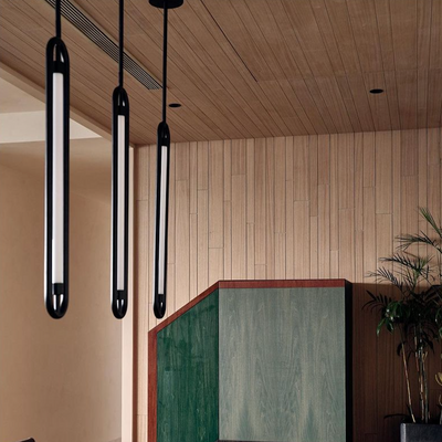 Hanging Loop Lamp